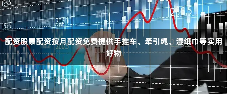 配资股票配资按月配资免费提供手推车、牵引绳、湿纸巾等实用好物