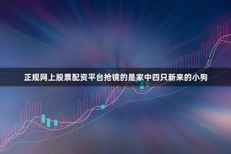 正规网上股票配资平台抢镜的是家中四只新来的小狗