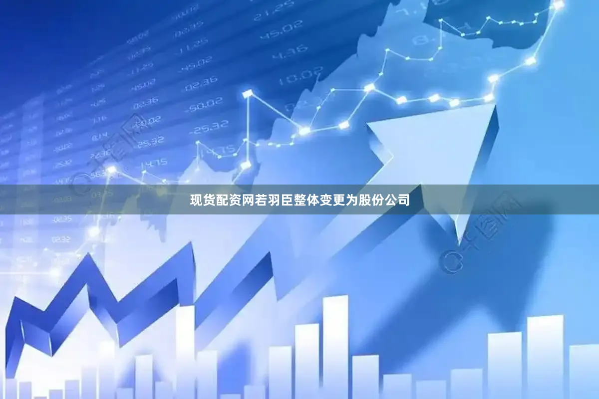 现货配资网若羽臣整体变更为股份公司