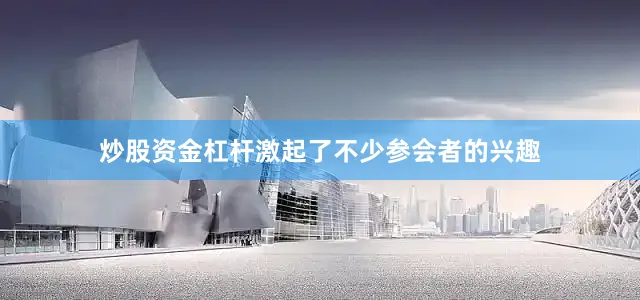 炒股资金杠杆激起了不少参会者的兴趣